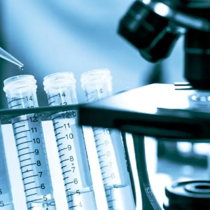 (ni)t(y)еI(y)Ҏ(gu)ģͬL10%