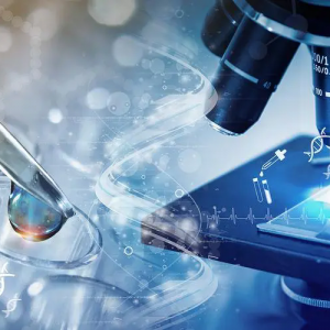 އHt(y)҃xO(sh)估t(y)еչ[