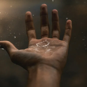 t(y)(w)ИI(y)ӭvʷ԰l(f)չC